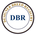 Designer Breed Registry